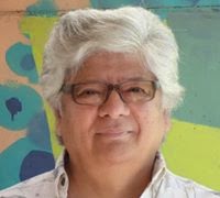 Julio Piñones