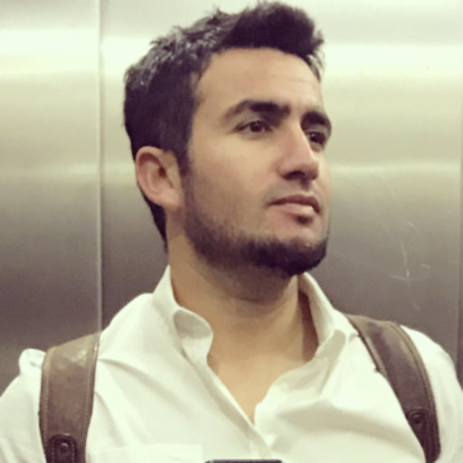 Ronnie Videla (editor)